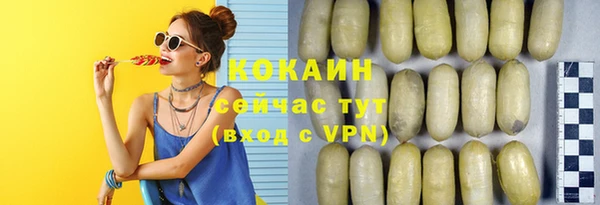стаф Нефтегорск