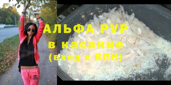 стаф Нефтегорск