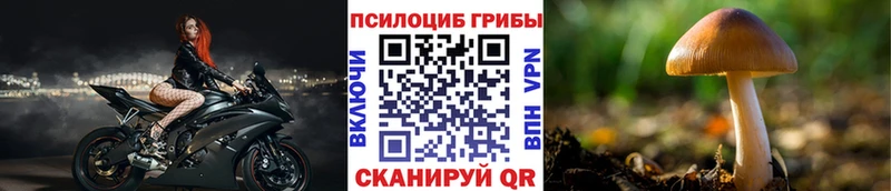 магазин наркотиков Кириллов мега Галлюциногенные грибы прущие грибы