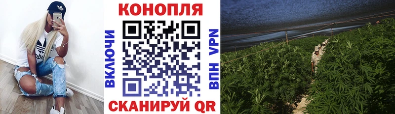 наркота  Кириллов  ОМГ ОМГ онион  Марихуана THC 21% 